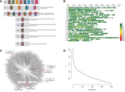 Development of a MAGIC population and high-resolution quantitative trait mapping for nicotine content in tobacco